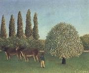Henri Rousseau THe Pasture China oil painting reproduction